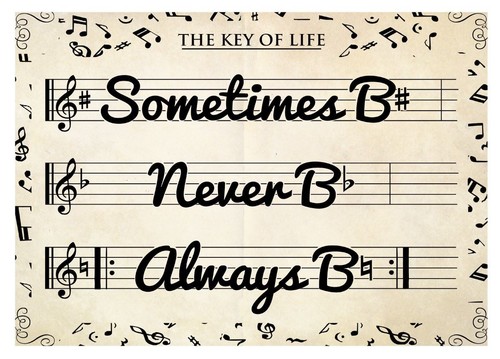 The key life mini poster - the, of